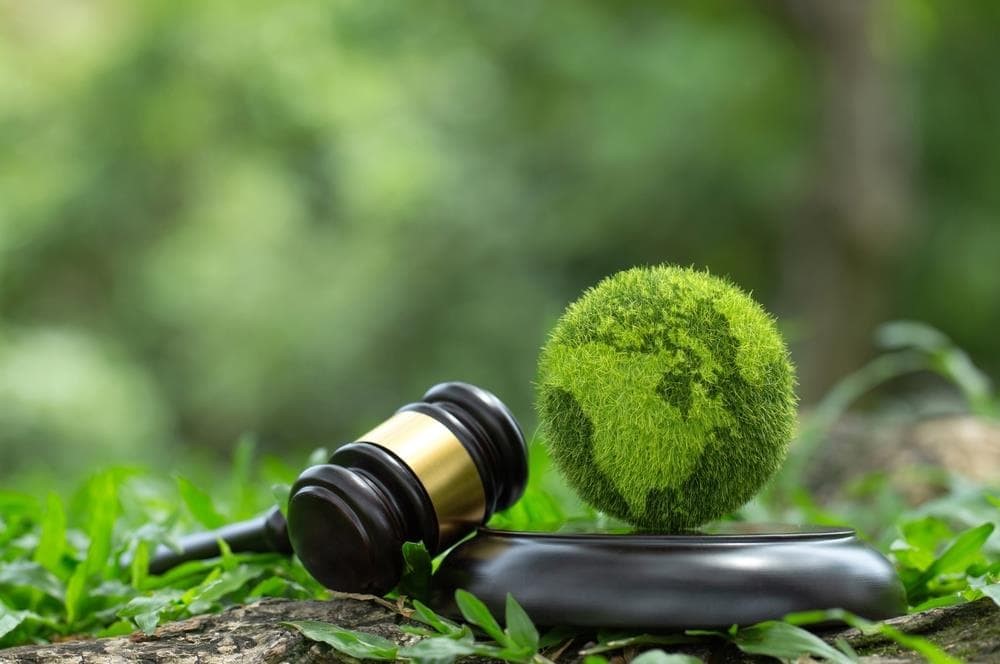 ¿En qué consiste el derecho medioambiental?
