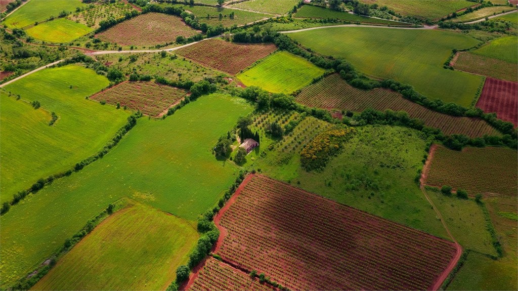 ¿Puedo negarme a la expropiación de un terreno?