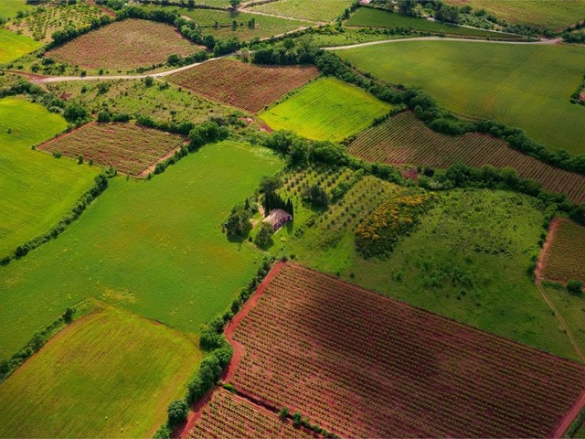 ¿Puedo negarme a la expropiación de un terreno?